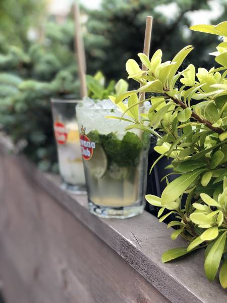 Mojito Havana