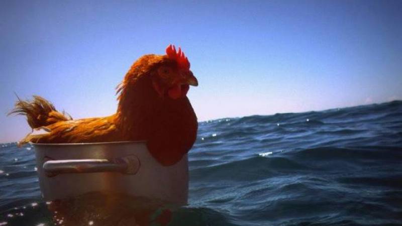 Daddy Poule en vacances a Tassin